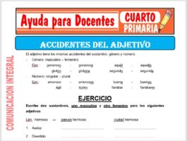 Modelo de la Ficha de Accidentes del Adjetivo para Cuarto de Primaria