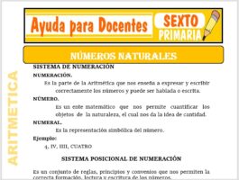 Modelo de la Ficha de Actividad de Números Naturales para Sexto de Primaria