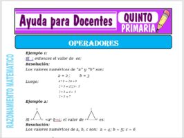 Modelo de la Ficha de Actividades de los Operadores para Quinto de Primaria