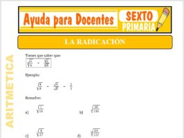 Modelo de la Ficha de Actividades de la Radicación. para Sexto de Primaria