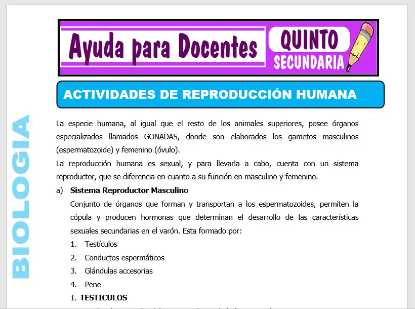 Modelo de la Ficha de Actividades de Reproducción Humana para Quinto de Secundaria