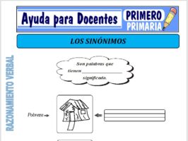Modelo de la Ficha de Actividad de lo Sinónimos para Primero de Primaria