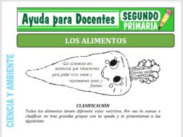 Modelo de la Ficha de Actividades de los Alimentos para Segundo de Primaria