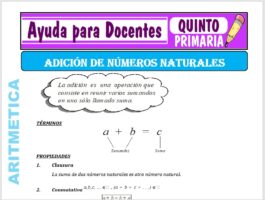 Modelo de la Ficha de Adición de Números Naturales para Quinto de Primaria