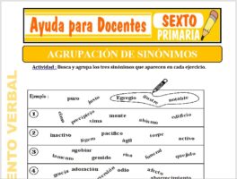 Modelo de la Ficha de Agrupación de los Sinónimos para Sexto de Primaria