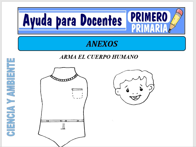 Modelo de la Ficha de Los Anexos para Primero de Primaria Modelo de la Ficha de Los Anexos para Primero de Primaria