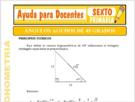 Modelo de la Ficha de Ángulos de 45 grados para Sexto de Primaria