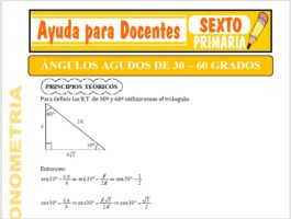 Modelo de la Ficha de Ángulos Agudos de 30 y 60 Grados para Sexto de Primaria