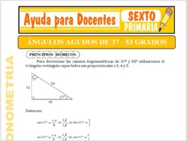 Modelo de la Ficha de Ángulos Agudos de 53 y 37 Grados para Sexto de Primaria