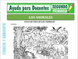 Modelo de la Ficha de Los Animales para Segundo de Primaria