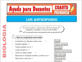 Modelo de la Ficha de Los Artrópodos para Cuarto de Primaria