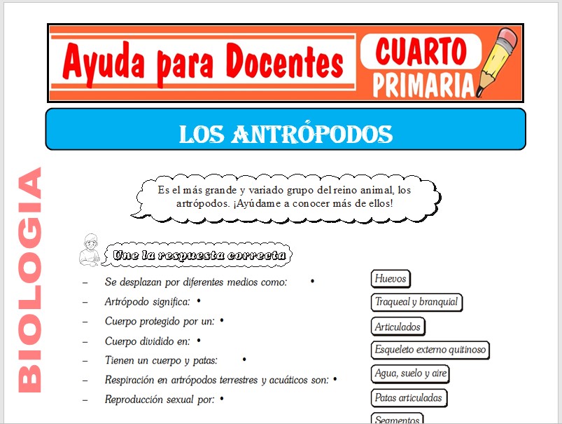 Modelo de la Ficha de Los Artrópodos para Cuarto de Primaria Modelo de la Ficha de Los Artrópodos para Cuarto de Primaria