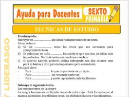 Modelo de la Ficha de Técnicas de Estudio para Sexto de Primaria