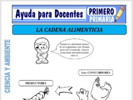 Modelo de la Ficha de Cadena Alimenticia para Primero de Primaria
