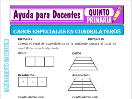 Modelo de la Ficha de Casos Especiales en Cuadriláteros para Quinto de Primaria