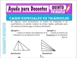 Modelo de la Ficha de Casos Especiales en Triángulos para Quinto de Primaria