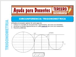 Modelo de la Ficha de Circunferencia Trigonométrica para Tercero de Secundaria