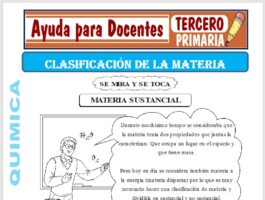 Modelo de la Ficha de Clasificación de la Materia para Tercero de Primaria