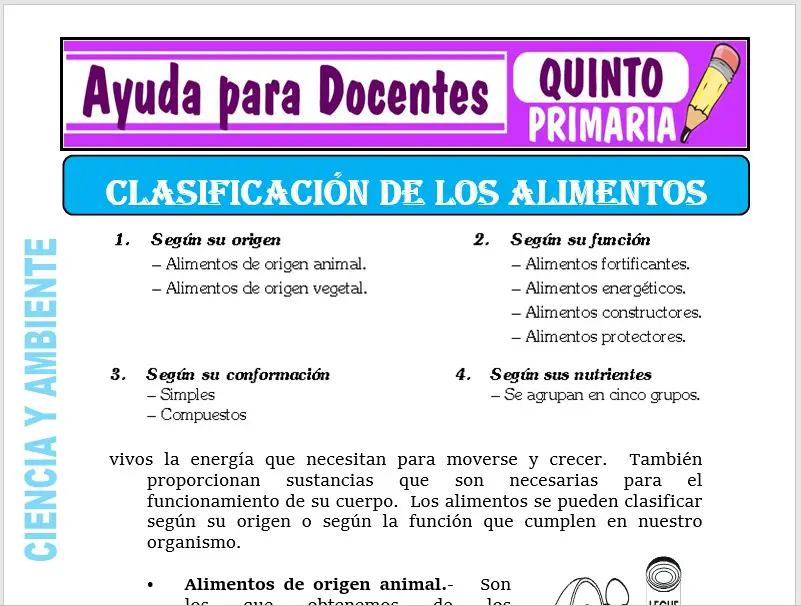 Modelo de la Ficha de Clasificación de los Alimentos para Quinto de Primaria