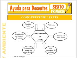Modelo de la Ficha de Como Prevenir las ETS para Sexto de Primaria