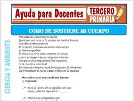 Modelo de la Ficha de Como se Sostiene mi Cuerpo para Tercero de Primaria