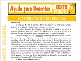 Modelo de la Ficha de Comprensión de Textos para Sexto de Primaria