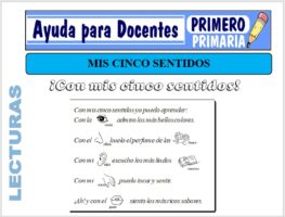 Modelo de la Ficha de Con Mis Cinco Sentidos para Primero de Primaria