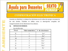 Modelo de la Ficha de Configuración Electrónica para Sexto de Primaria