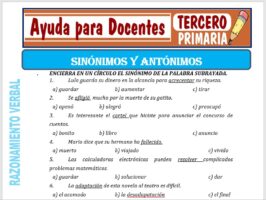 Modelo de la Ficha de Conozcamos los Sinónimos y Antónimos para Tercero de Primaria