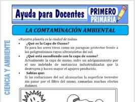 Modelo de la Ficha de Contaminación Ambiental para Primero de Primaria