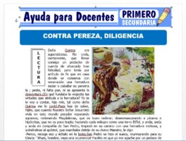 Modelo de la Ficha de Contra Pereza Diligencia para Primero de Secundaria