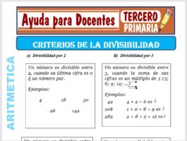 Modelo de la Ficha de Criterios de la Divisibilidad para Tercero de Primaria