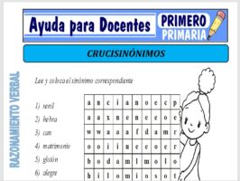 Modelo de la Ficha de Crucisinónimos para Primero de Primaria