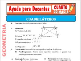 Modelo de la Ficha de Los Cuadriláteros para Cuarto de Primaria