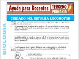 Modelo de la Ficha de Cuidado del Sistema Locomotor para Tercero de Primaria