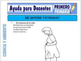 Modelo de la Ficha de Dónde Venimos para Primero de Primaria