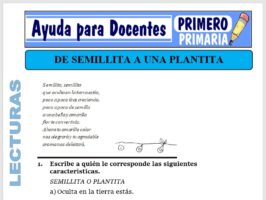 Modelo de la Ficha de Semillita a una Plantita para Primero de Primaria