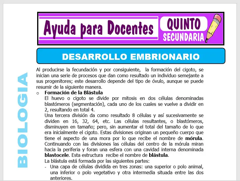 Modelo de la Ficha de Desarrollo Embrionario para Quinto de Secundaria