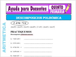 Modelo de la Ficha de Descomposición Polinómica para Quinto de Primaria