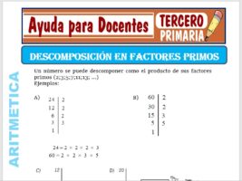 Modelo de la Ficha de Descomposición en sus Factores Primos para Tercero de Primaria