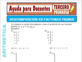 Modelo de la Ficha de Descomposición de Números Primos para Tercero de Primaria