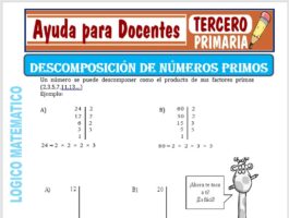 Modelo de la Ficha de Descomposición de Números Primos para Tercero de Primaria