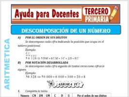 Modelo de la Ficha de Descomposición de un Número para Tercero de Primaria