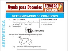 Modelo de la Ficha de Determinación de Conjuntos para Tercero de Primaria
