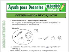 Modelo de la Ficha de Determinación de Conjuntos para Segundo de Primaria