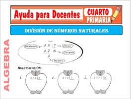 Modelo de la Ficha de División de Números Naturales para Cuarto de Primaria