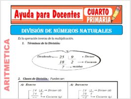 Modelo de la Ficha de División de Números Naturales para Cuarto de Primaria