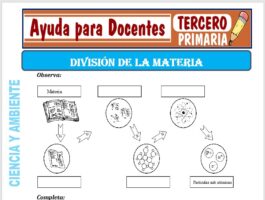 Modelo de la Ficha de División de la Materia para Tercero de Primaria