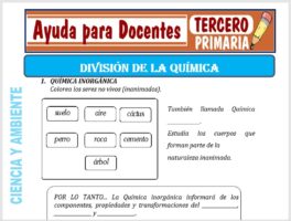 Modelo de la Ficha de División de la química para Tercero de Primaria