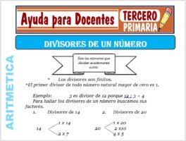 Modelo de la Ficha de Divisores de un Número para Tercero de Primaria